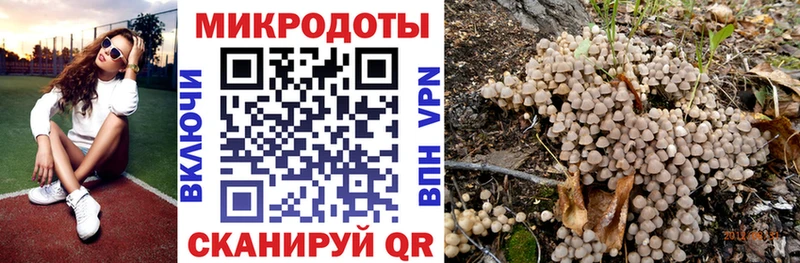 Галлюциногенные грибы MAGIC MUSHROOMS  Оренбург 