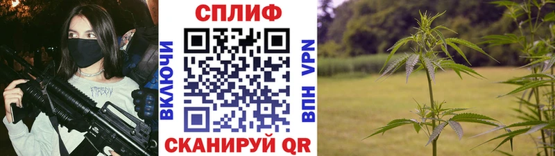 Конопля SATIVA & INDICA  Оренбург 
